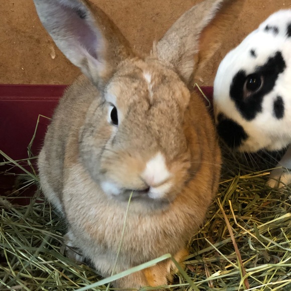 Meet your Posher, Marie - Picture 1 of 1